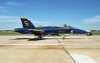 Blue Angels (Paul R. Kucher IV Collection)